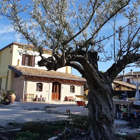 Il Focolare Bed & Breakfast Casa Ottani